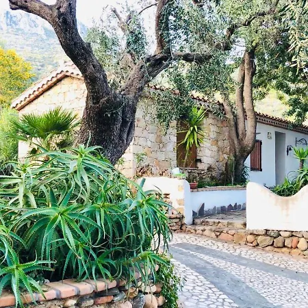 Il Carrubo Vista Mare Appartement *