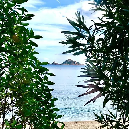 Casa Ulivo Vista Mare * Santa Maria Navarrese